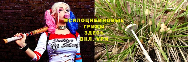 стаф Нея