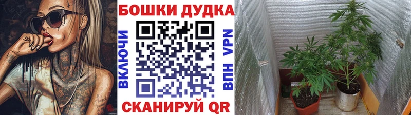 Марихуана марихуана  Хвалынск 